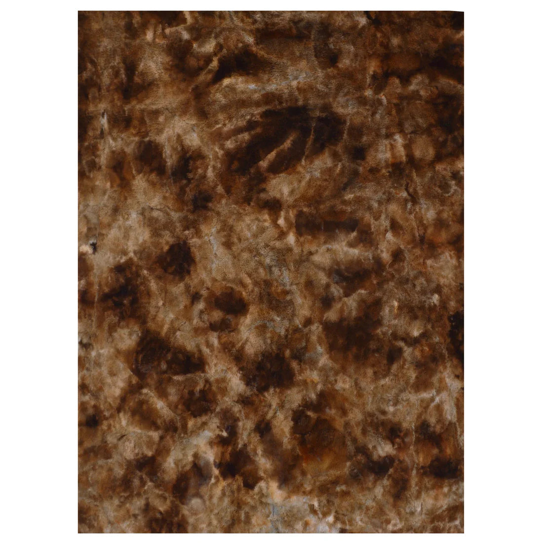 Rabbit-TD-Brown 5x7 NE