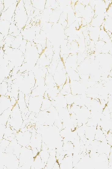 Rabbit White/Gold 5x7 NE