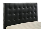 315911BLKQ CO