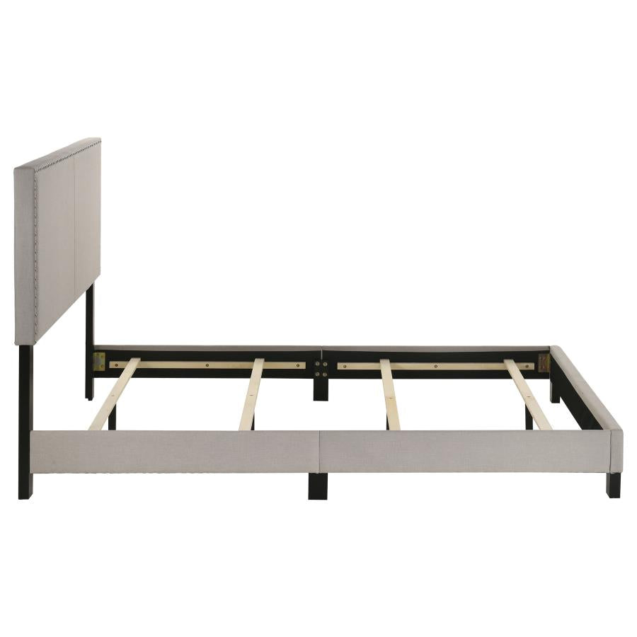 350051Q CO
