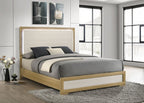 B1550 Maya SET NE