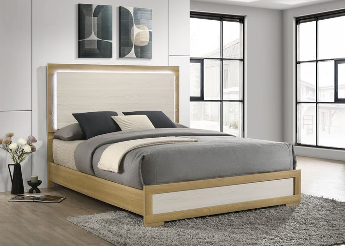 B1550 Maya SET NE