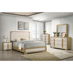 B1550 Maya SET NE