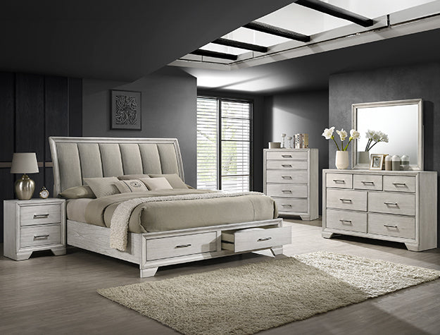 B6582 JAYMES CRO