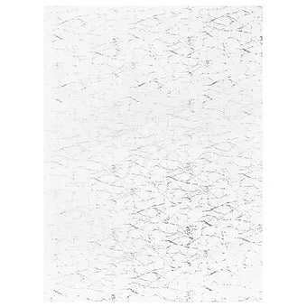 Rabbit White/Silver 5x7 NE