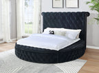 Serene Nest GT